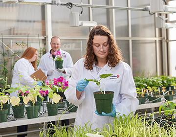 agronomist inspecting a plant