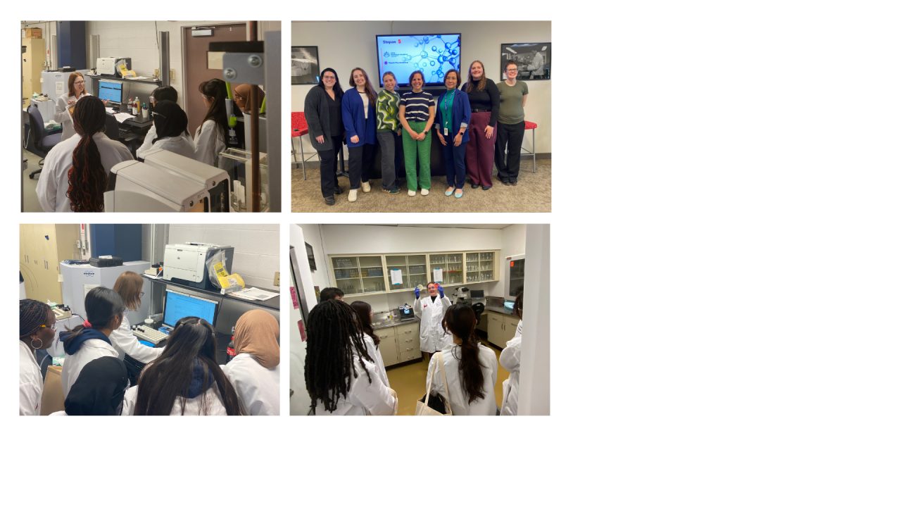 day-in-the-lab-for-field-trip