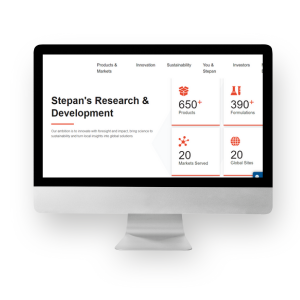 Screenshot of Stepan Icon Usage